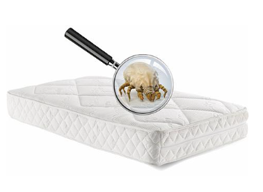 🛏️ PROFESSIONELLE MATRATZENREINIGUNG  - Gratisinserat.ch