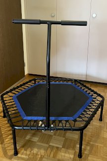Indoor Fitness Trampolin mit Haltestange - Gratisinserat.ch