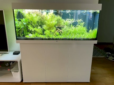 Juwel 240 liter Aquarium komplett - Gratisinserat.ch