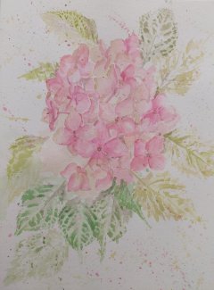 Hortensie Blumen Aquarelle handgemalt - Gratisinserat.ch