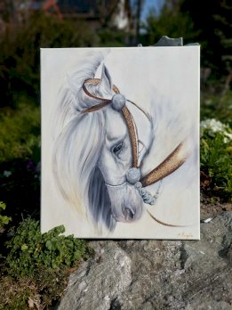 PFerd Weiss von Kunstlerin direkt