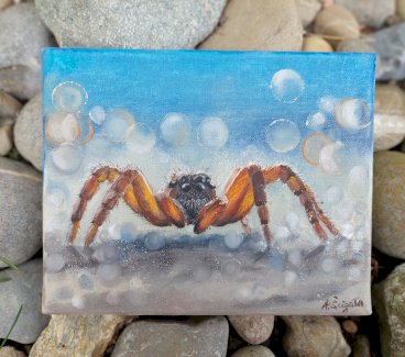 Natur Spinne von Kunstlerin direkt