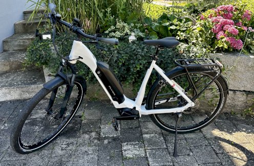 Flyer Upstreet5 5.10