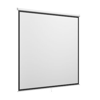 Leinwand Beamer 230 x 230 cm