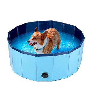 Hundepool 80 cm blau