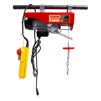 Seilhebezug elektrisch 600 kg - Gratisinserat.ch