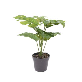 Kunstpflanze im Topf 30cm - Gratisinserat.ch