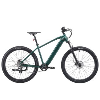E-Bike Mountainbike 29 AVALANCHE grün