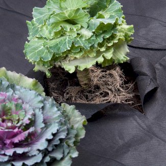 Unkrautvlies 8 x 1.5 m