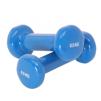 Kurzhantel Vinyl 2 x 0.5 kg - Gratisinserat.ch