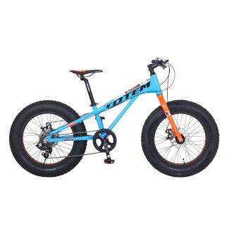 MTB Fatbike 20 LIMIT-X - Gratisinserat.ch