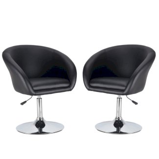 Clubsessel 2er Set schwarz