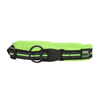 Hundehalsband 30 - 45 cm - Gratisinserat.ch