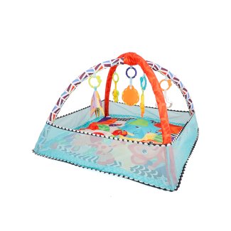 Krabbeldecke mit Spielbogen und Bällen - Gratisinserat.ch