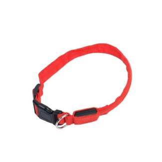 Hundehalsband LED 60 cm - Gratisinserat.ch