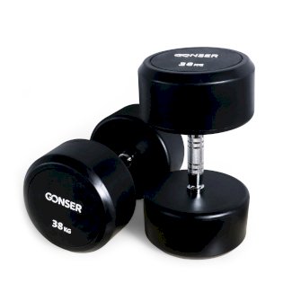 Kurzhantel TYSON 2 x 38 kg - Gratisinserat.ch