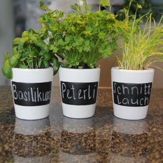 Kräutertopf 3er Set beschriftbar - Gratisinserat.ch
