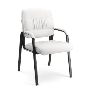 Konferenzstuhl LUDWIG weiss