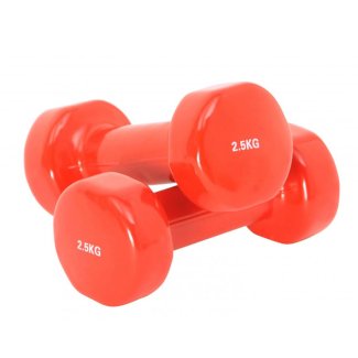 Kurzhantel Vinyl 2 x 2.5 kg - Gratisinserat.ch