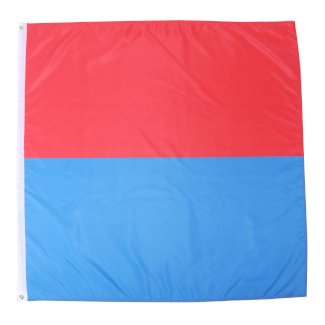 Kantonsflagge Tessin 120 x 120 cm - Gratisinserat.ch