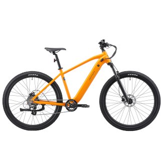 E-Bike Mountainbike 29 AVALANCHE gelb - Gratisinserat.ch
